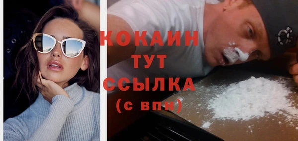 mdpv Богородицк