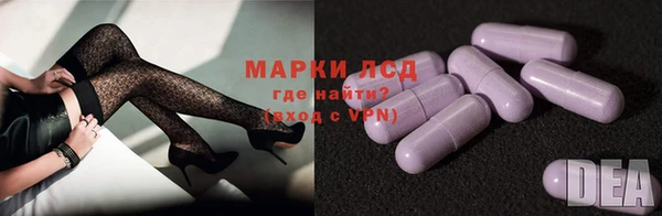 mdpv Богородицк