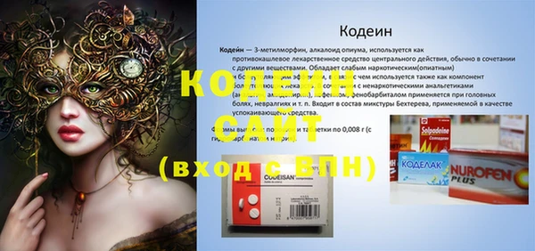 дживик Богородск