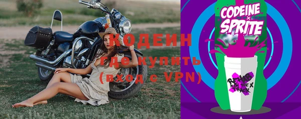 дживик Богородск