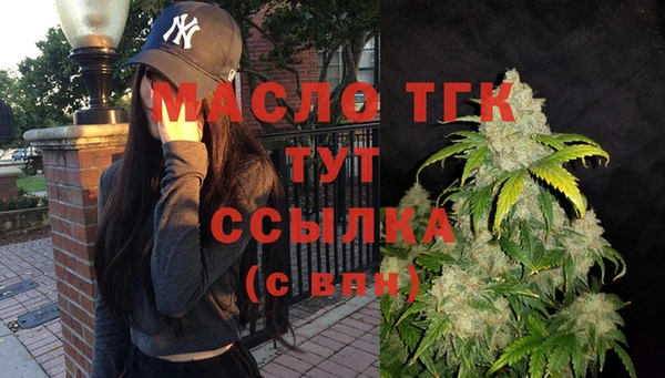 дживик Богородск