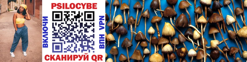 Купить закладки Алагир Галлюциногенные грибы MAGIC MUSHROOMS